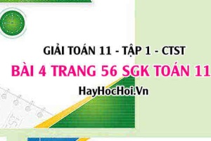 Giải bài 4 trang 56 Toán 11 tập 1 SGK Chân trời sáng tạo